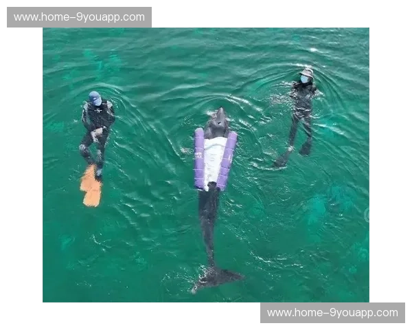 蓝色星球的对决：意大利与智利，一场跨越山海的足球狂想曲